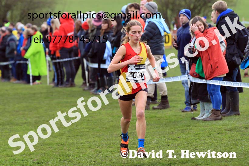 Womens Under-17s 2023 UK CAU Inter Counties Cross Country Champs, Prestwold Hall, Loughborough. Photo: David T. Hewitson/Sports for All Pics